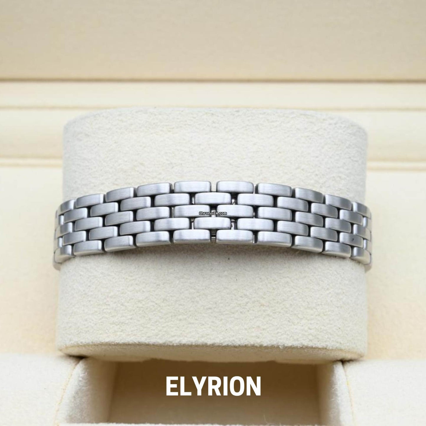 Montre Femme - Panthère Acier