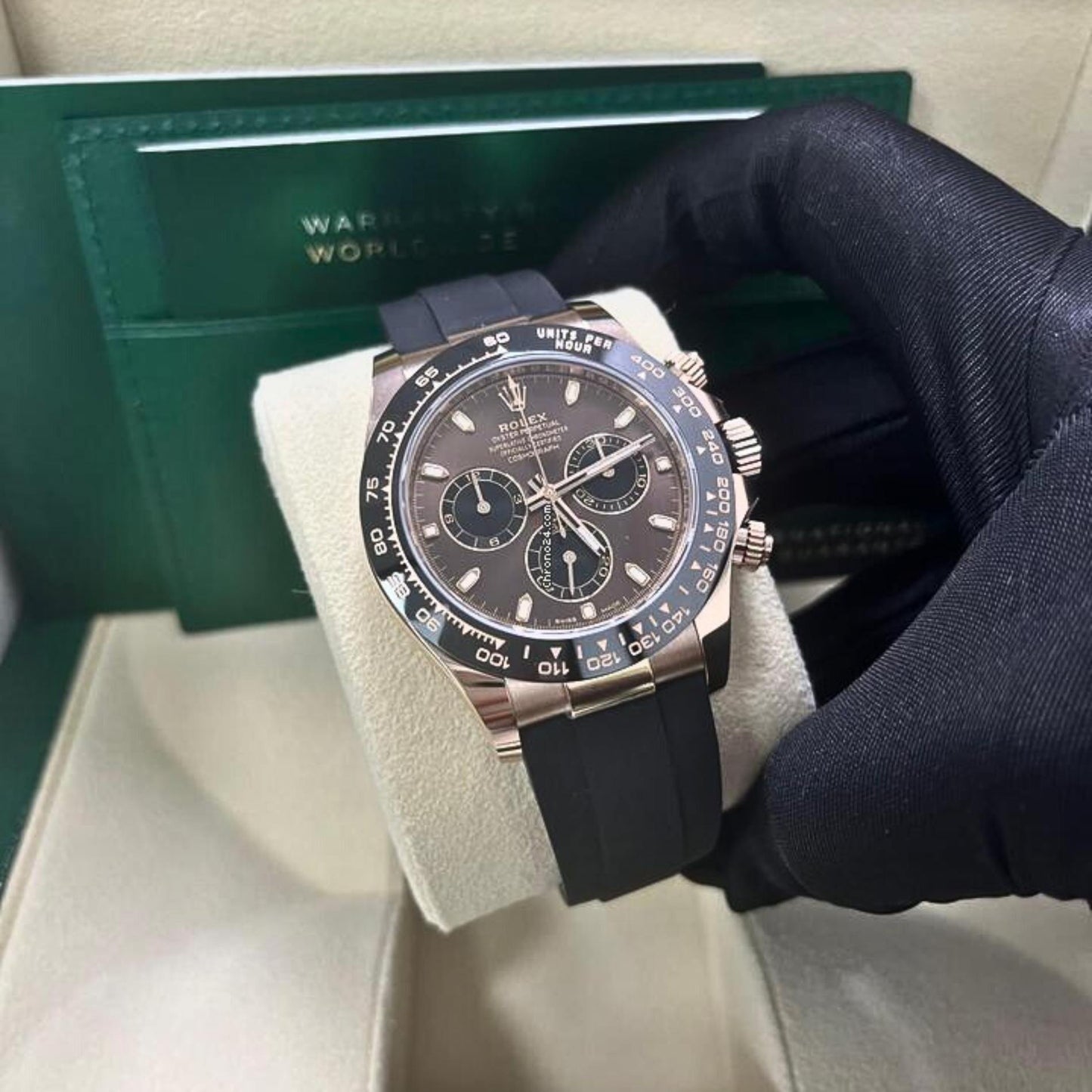 Montre Homme - Daytona Oysterflex Chocolate Dial