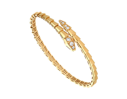 Bracelet de luxe pour femme / CF400029