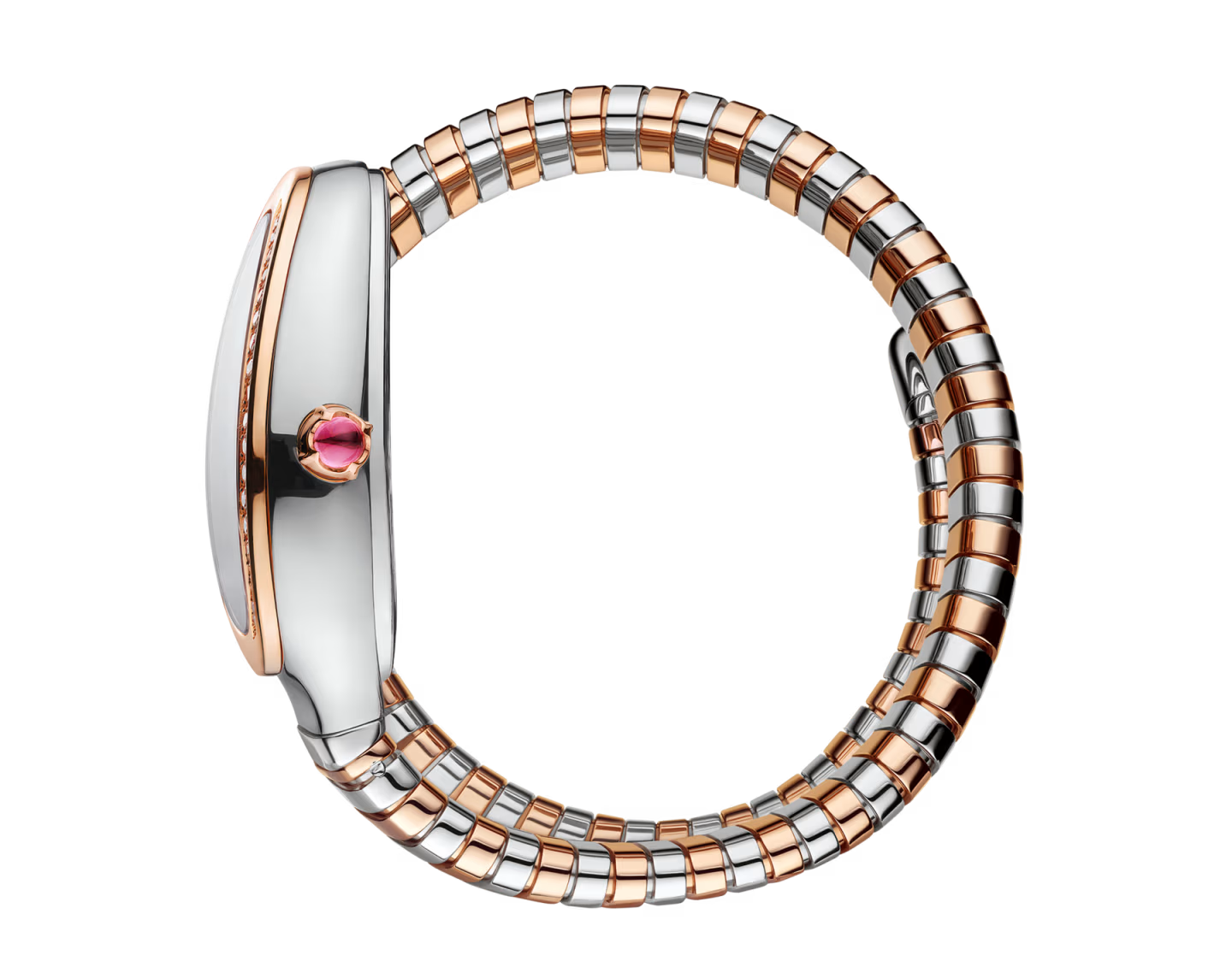 Serpenti Tubogas Montre