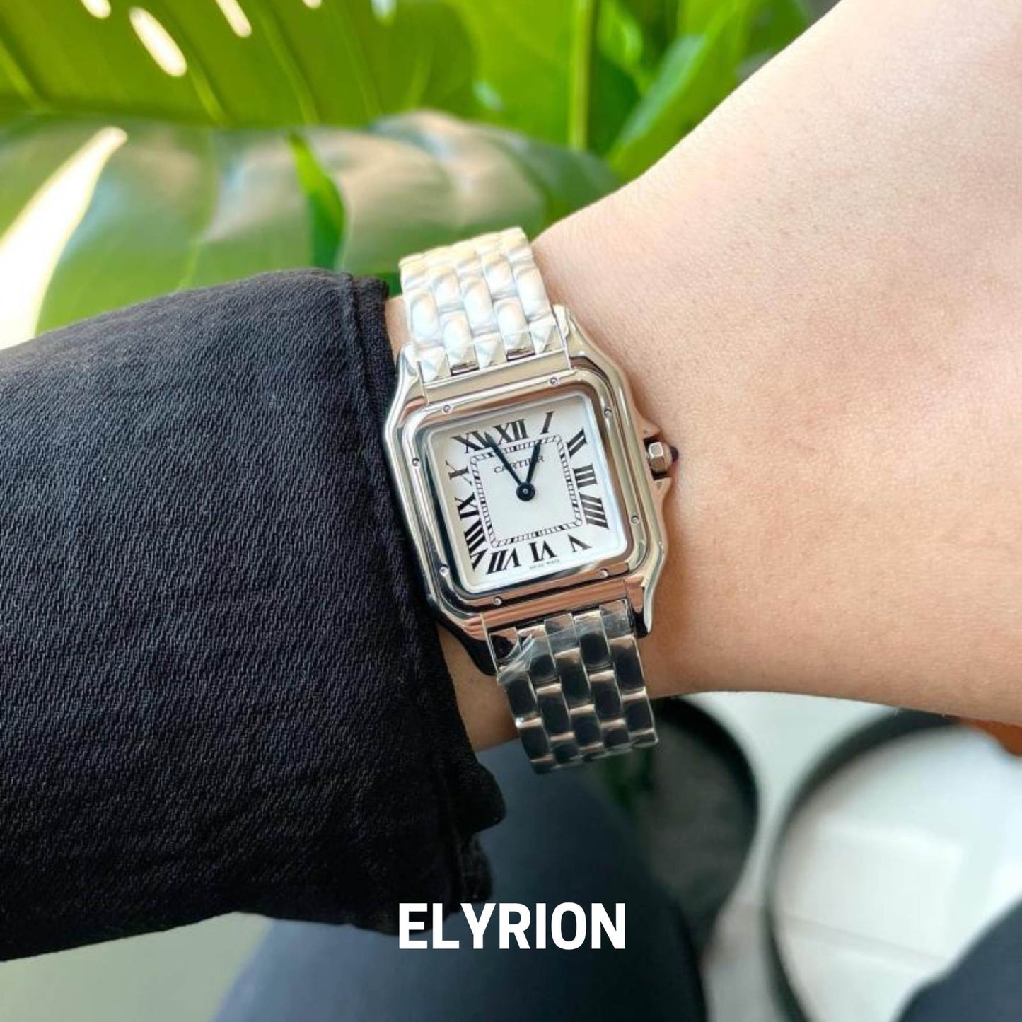 Montre Femme - Panthère Acier