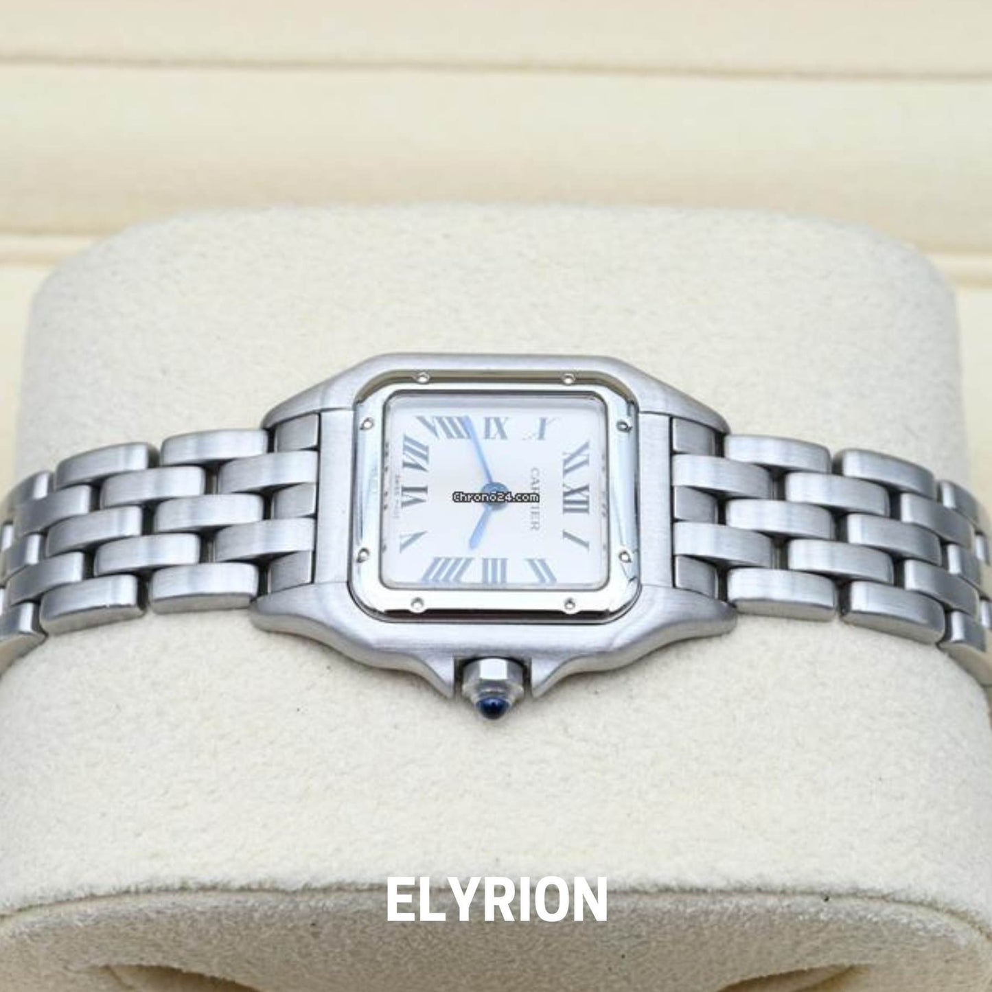 Montre Femme - Panthère Acier