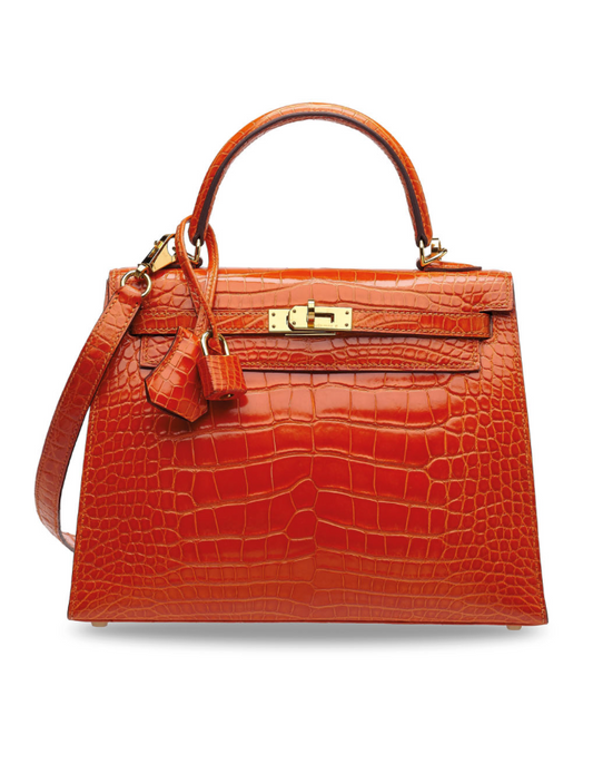 Sac de luxe pour femme / F3000218