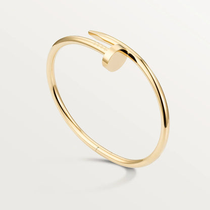 Bracelet de luxe pour femme / CF40003